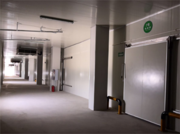 食品公司內建造一個1000平包子、水餃速凍冷庫費用是多少? 食品公司內建造一個1000平包子、水餃速凍冷庫費用是多少?