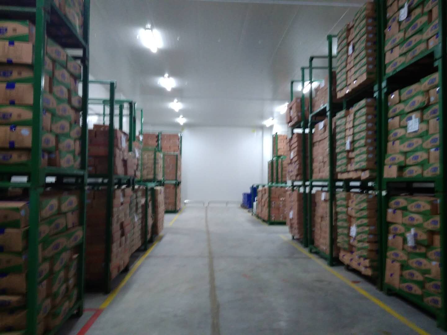 建設8500㎡陰涼物流低溫倉庫安裝配置方案費用是多少? 建設8500㎡陰涼物流低溫倉庫安裝配置方案費用是多少?