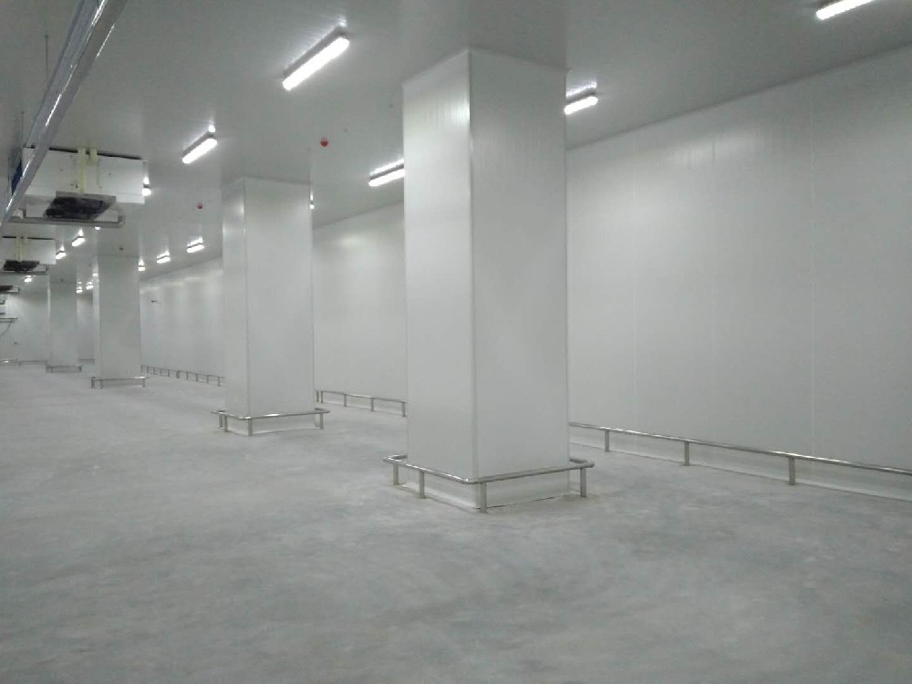 建造200噸的肉類冷鏈冷凍庫如何做好規劃設計?
