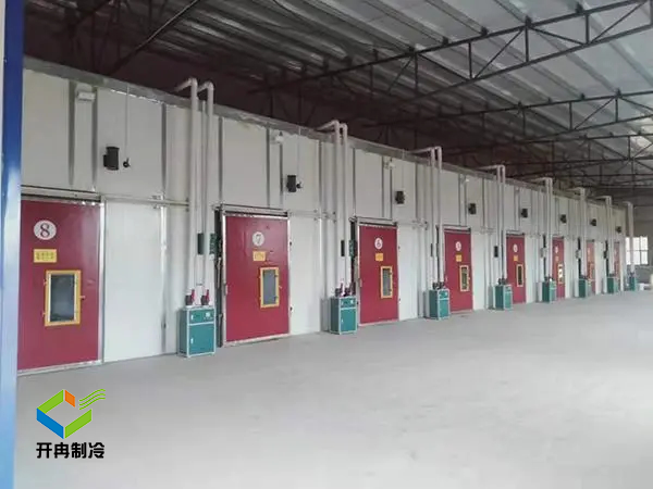 建造1000噸的水果冷庫 需要多大的冷庫場地 建造1000噸的水果冷庫 需要多大的冷庫場地