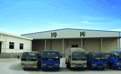 裝配式冷庫建造發展，冷庫建造的好處