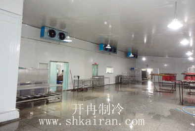 大型水產(chǎn)低溫冷庫安裝設(shè)計使用管理