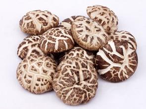 果蔬香菇氣調(diào)保鮮冷庫安裝造價預算