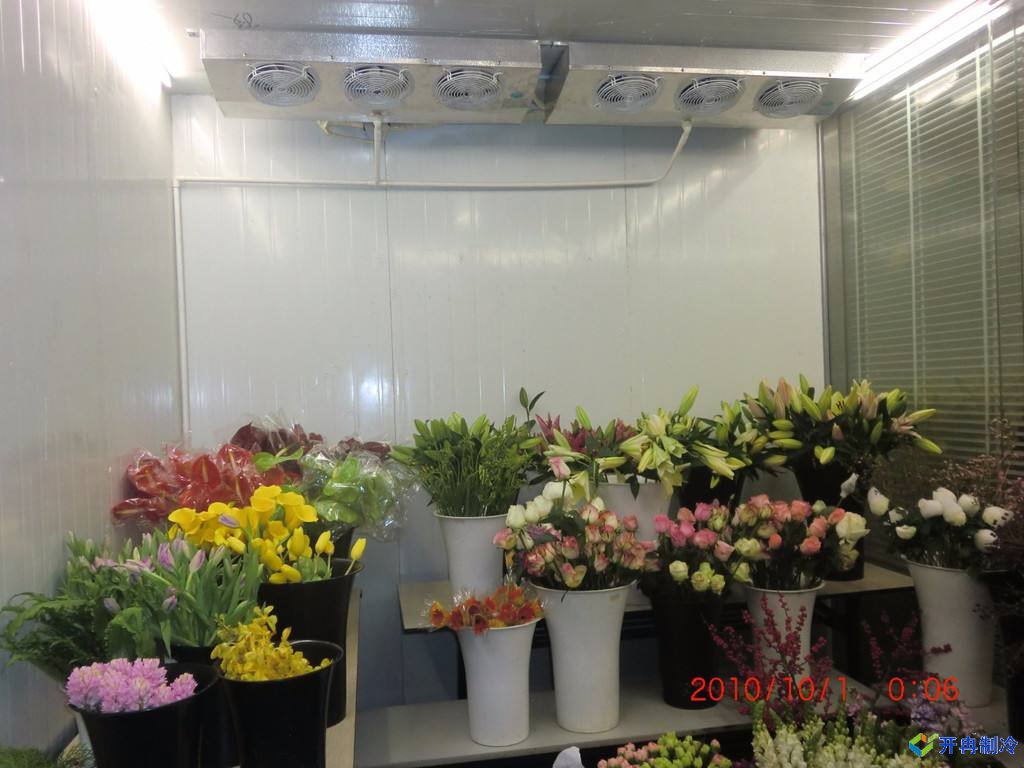 開(kāi)冉制冷為客戶建設(shè)的一個(gè)800平鮮花保鮮冷庫(kù)案例