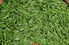 建一個低溫茶葉冷庫，冷凍庫耗電量及冷庫價格多少錢