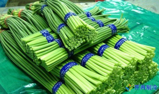3000噸蒜薹冷庫前期規劃，冷庫造價預算多少錢