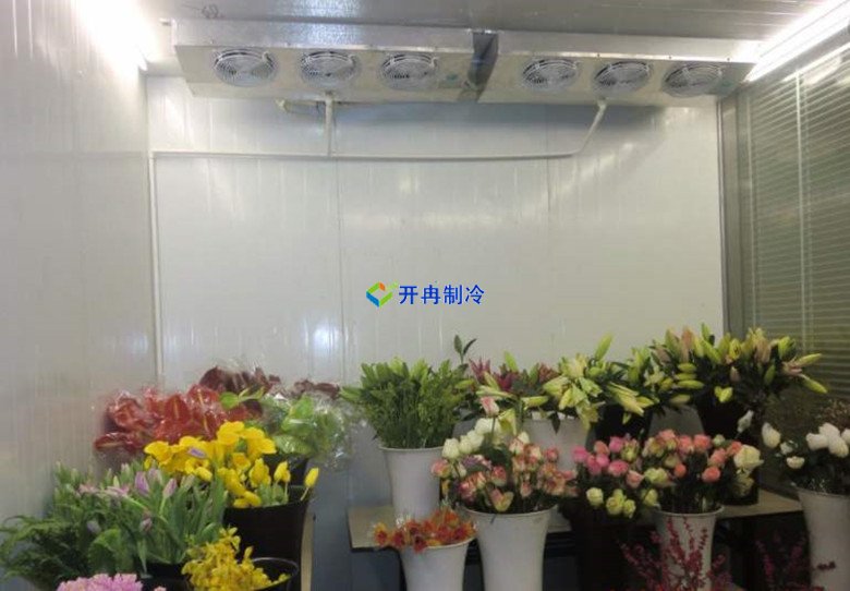 上海1000㎡花卉恒溫庫(kù)安裝設(shè)備需要多少錢(qián) 